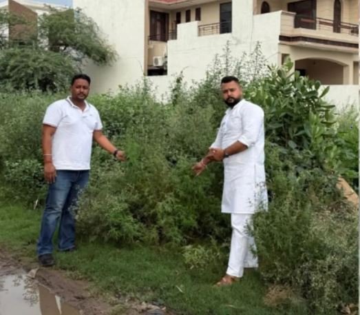 ਕਲੋਨੀਆਂ ’ਚ ਜੰਗਲੀ ਬੂਟੀ ਕਾਰਨ ਲੋਕ ਔਖੇ ਨਿਗਮ ਤੋਂ ਇਲਾਕੇ ’ਚ ਸਫ਼ਾਈ ਕਰਵਾਉਣ ਦੀ ਮੰਗ