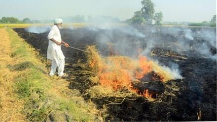 ਫ਼ਸਲਾਂ ਦੀ ਰਹਿੰਦ-ਖੂੰਹਦ ਨੂੰ ਅੱਗ ਲਾਉਣ ਸਬੰਧੀ ਪਟਿਆਲਾ ਵਧੀਕ ਜ਼ਿਲ੍ਹਾ ਮੈਜਿਸਟ੍ਰੇਟ ਵੱਲੋਂ ਨਵੇਂ ਹੁਕਮ ਜਾਰੀ