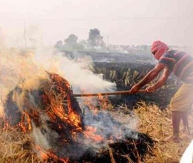 Punjab Stubble Burning News : ਪੰਜਾਬ ’ਚ ਪਰਾਲੀ ਸਾੜਨ ’ਤੇ ਸਰਕਾਰ ਸਖ਼ਤ; 20 ਕਿਸਾਨਾਂ ’ਤੇ ਹੋਈ FIR ਦਰਜ, ਡੇਢ ਲੱਖ ਦਾ ਲਾਇਆ ਜੁਰਮਾਨਾ
