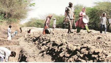 ਹਰਿਆਣਾ ’ਚ ਮਨਰੇਗਾ ਨੌਕਰੀਆਂ ’ਚ ਤੇਜ਼ੀ ਨਾਲ ਵਾਧਾ ਦਰਜ